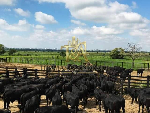 #14 - Fazenda para Venda em Taubaté - SP - 2