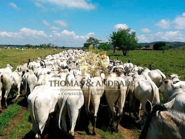 #14 - Fazenda para Venda em Taubaté - SP - 3