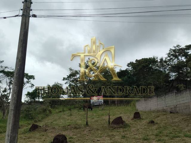 Área para Venda em Taubaté - 5