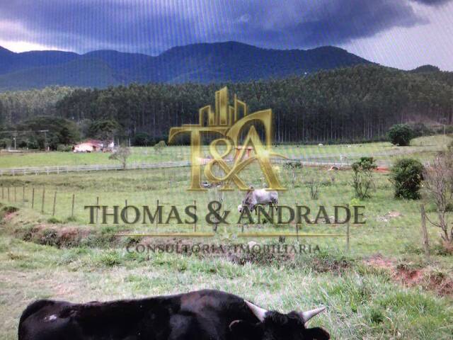 #30 - Chácara para Venda em Lagoinha - SP - 2