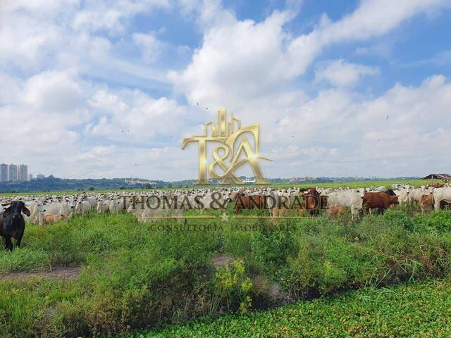 #45 - Chácara para Venda em São José dos Campos - SP - 3