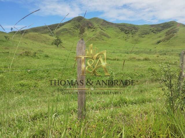 #47 - Chácara para Venda em Areias - SP - 3