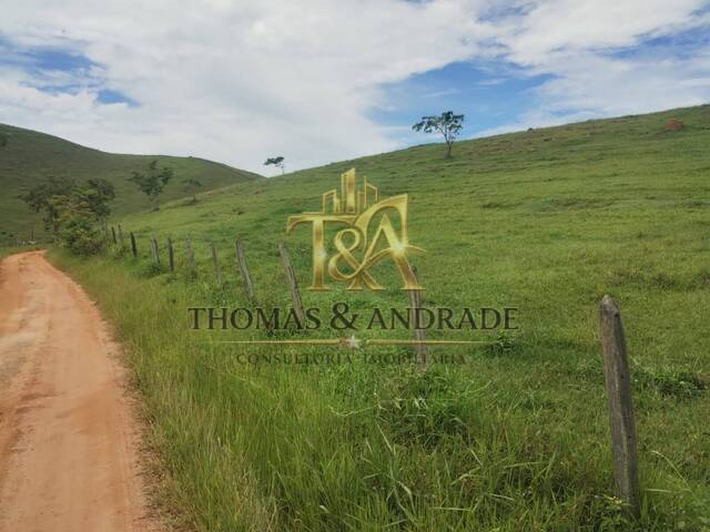 #47 - Chácara para Venda em Areias - SP - 2