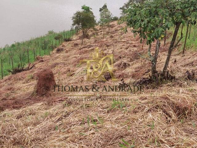 #50 - Chácara para Venda em Redenção da Serra - SP - 3