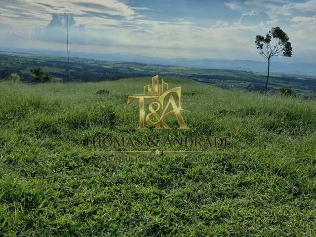 #53 - Chácara para Venda em Caçapava - SP - 3