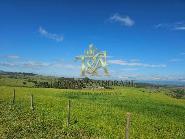 #54 - Chácara para Venda em Guaratinguetá - SP - 3