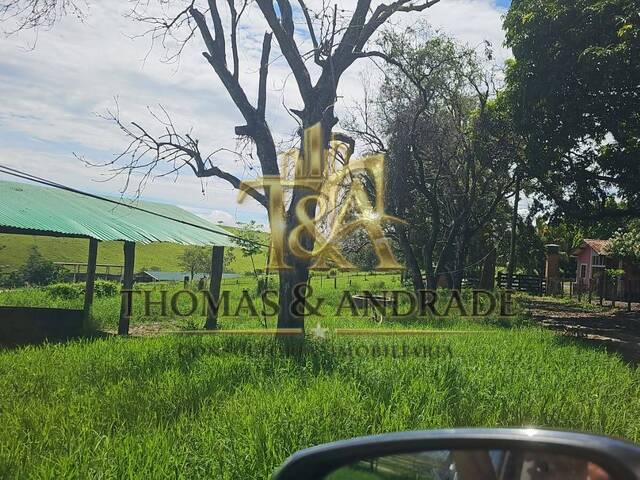 #54 - Chácara para Venda em Guaratinguetá - SP - 2