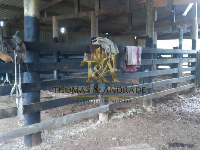 #59 - Chácara para Venda em Sete Barras - SP - 3