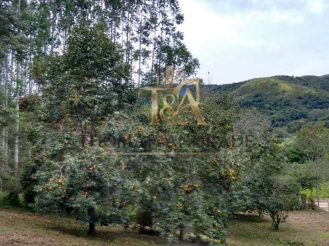 #80 - Chácara para Venda em Roseira - SP - 3
