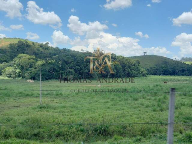 #95 - Chácara para Venda em Cunha - SP - 3